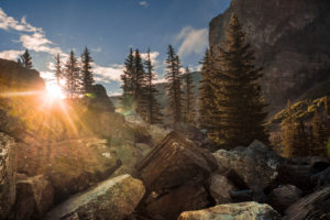 Boulders in backlight with the sun, firs, Rocky Mountains Boulders in backlight with the sun, firs, Rocky Mountains